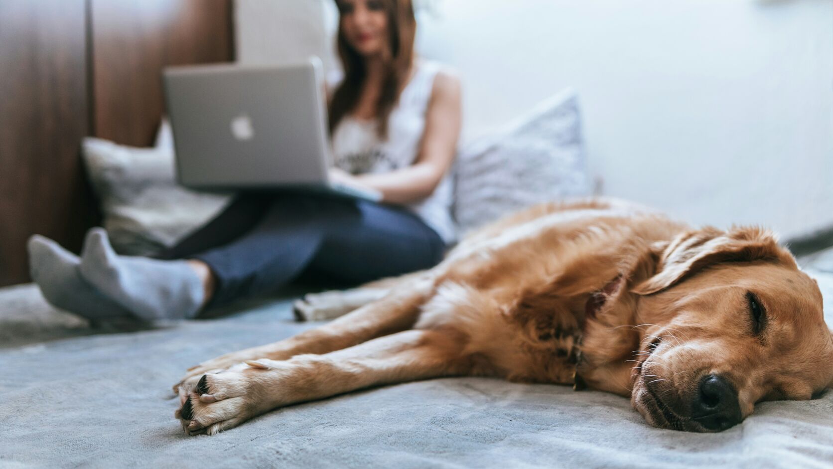 A woman works on a laptop while sitting cross-legged on a bed, her golden retriever stretched out asleep in the foreground.