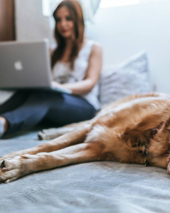A woman works on a laptop while sitting cross-legged on a bed, her golden retriever stretched out asleep in the foreground.