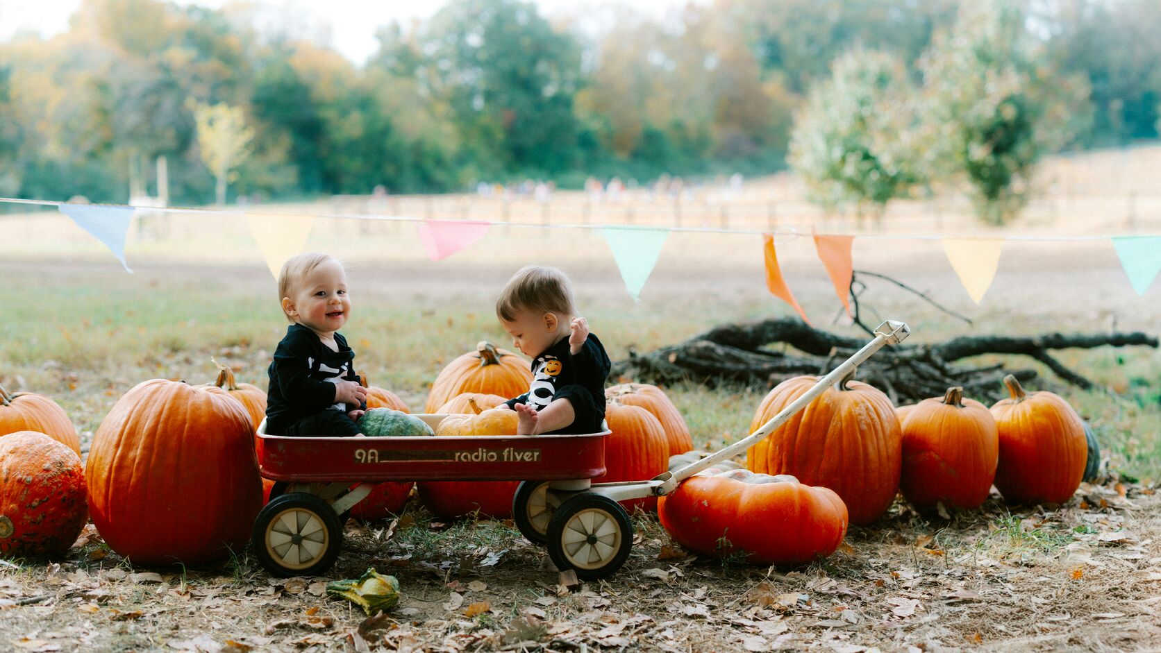 Two babies in black Halloween onesies sit in a red Radio Flyer wagon among orange pumpkins at a pumpkin patch, one grinning at the camera, with colorful bunting and autumn trees behind them.