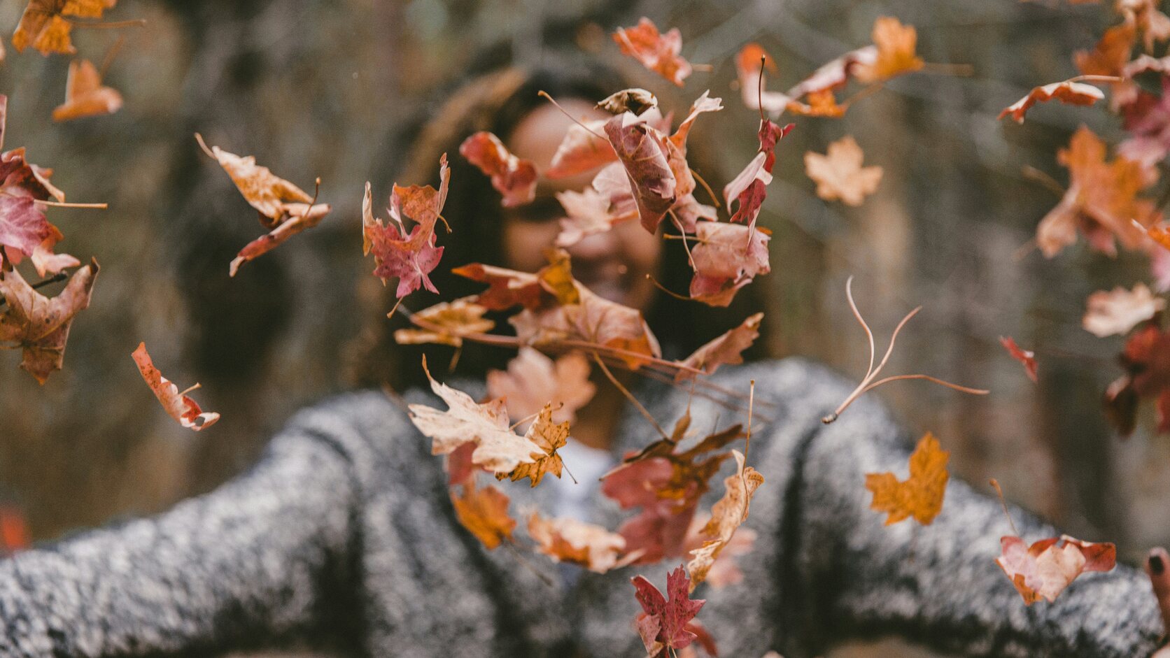 A woman in a grey knit sweater stands in an autumn wood with her arms flung wide as a flurry of red and orange maple leaves fills the air in front of her.